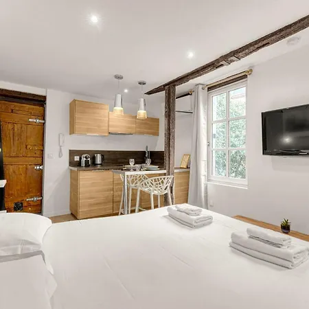 Apartment Le Des Antiquaires - Climatise Toulouse